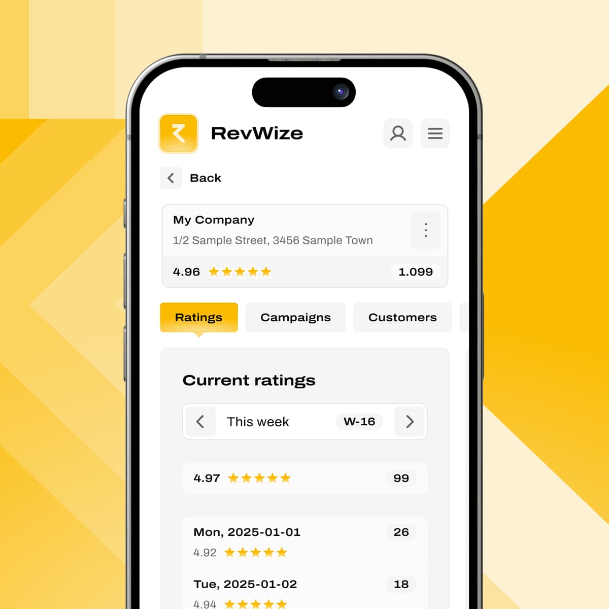 RevWize Dashboard Preview